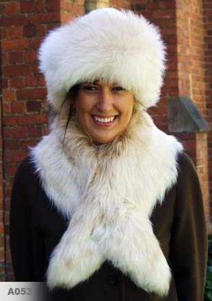 THE ARDENT ALPACA
